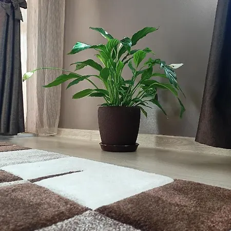 Apartament Стоянови 2